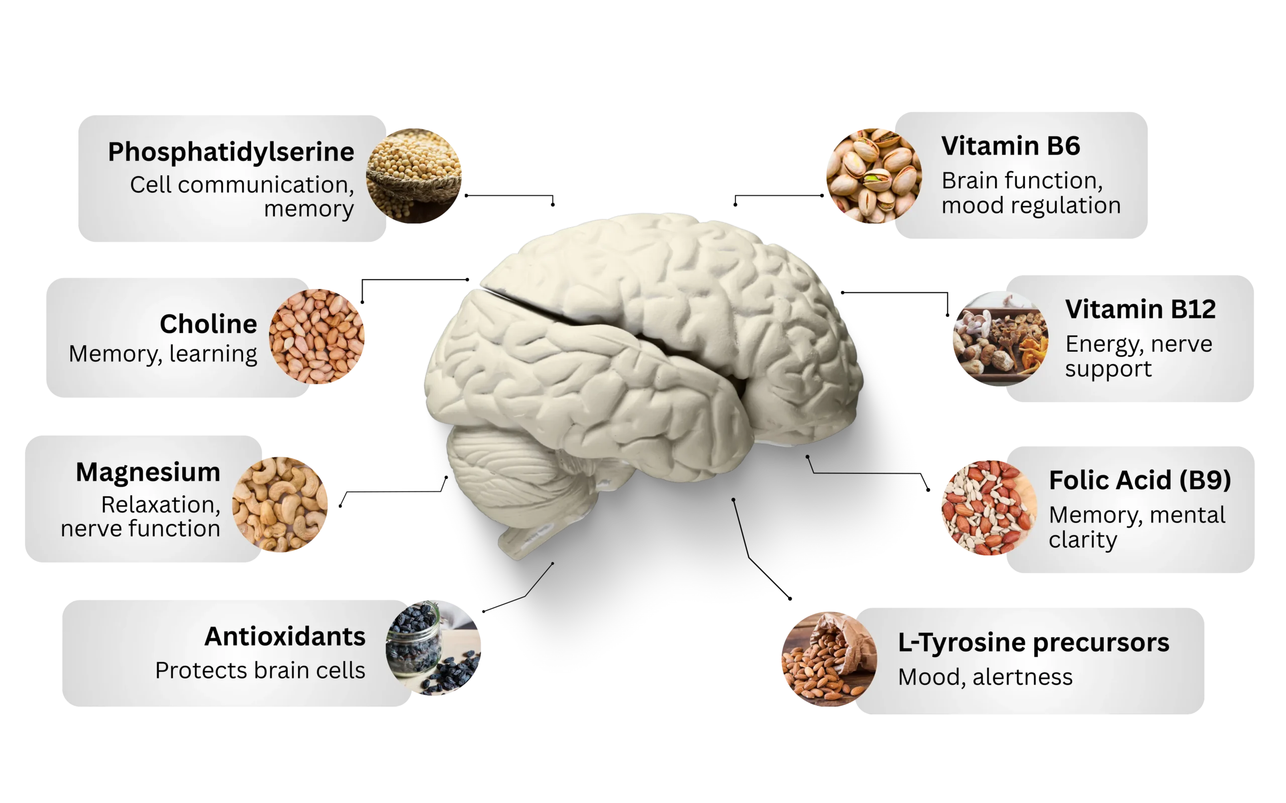 NeuroXen Ingredients