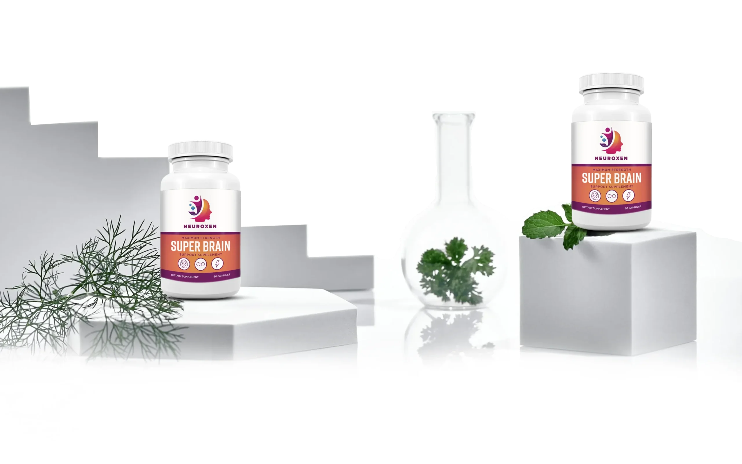 NeuroXen Product – Official Website